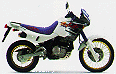 Dominator bílošedý model 1995